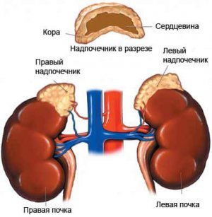 лечение рака коры надпочечников