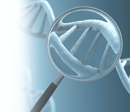 молекулярно-генетические тесты